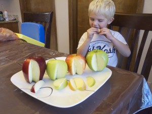 tasting apples