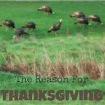 The Reason For Thanksgiving