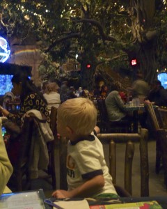 rainforest cafe vegas 2