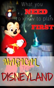 Plan first trip to Disneyland