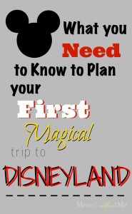 first trip to disneyland