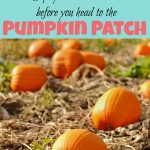 5 Tips You Should Know Before You Go To The Pumpkin Patch