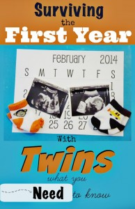 first year with twins