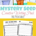 Mystery Seed Creative Writing Pack